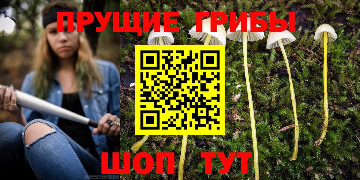Галлюциногенные грибы Psilocybe  Вход с VPN  Клин  Галлюциногенные грибы прущие грибы 