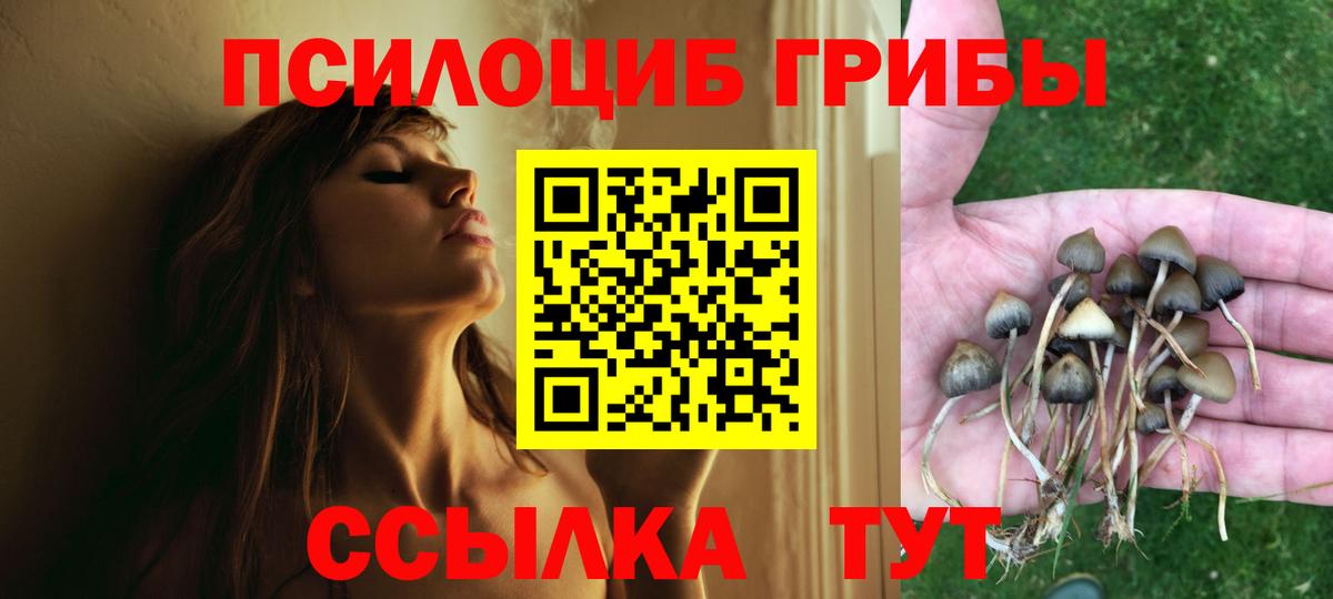 Псилоцибиновые грибы Cubensis Клин